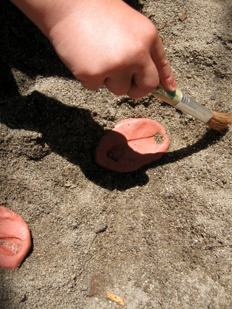 Fossil Finding for Kids | Activity | Education.com