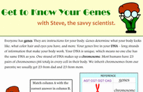 Genetics Basics - Biology Worksheets | Education.com