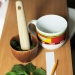 Leaf Chromatography Experiment | Education.com