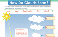 Our 10 Best Second Grade Science Printables | Education.com