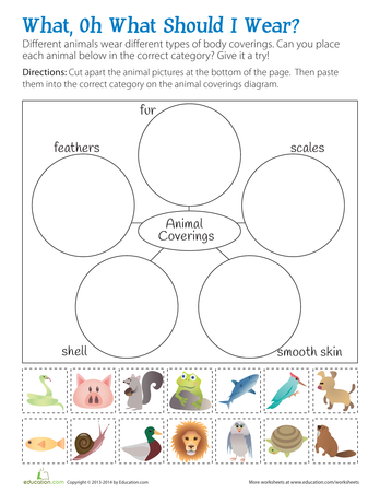 All About Animals | Printable Workbook | Education.com