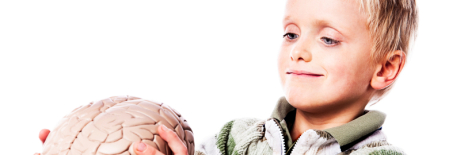 Brain-Based Gender Differences