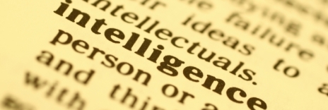 Intelligence and Learning