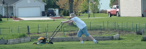 Chores
