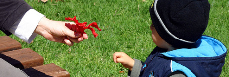 Nurturing Your Child's Cognitive Development