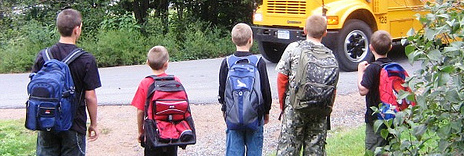 Physical Growth and Puberty (Ages 8-10)