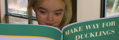 Stages of Cognitive Development