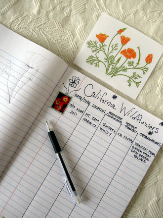 5th Grade Outdoor Games Science Educational Resources | Education.com