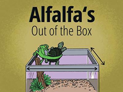 Descriptive image of resource